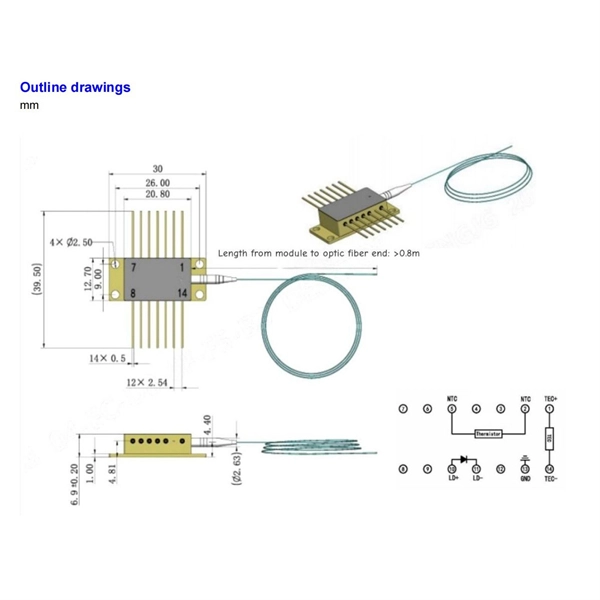 Raman amplifier 100G delivery date from India