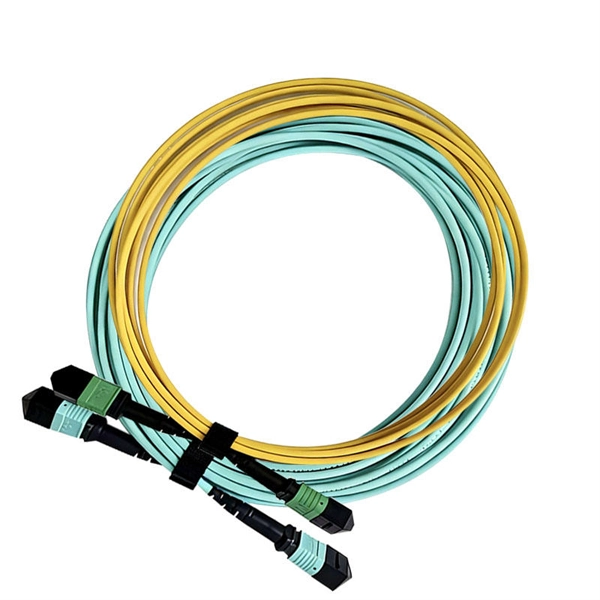 What kind of switch can accept optical modules 