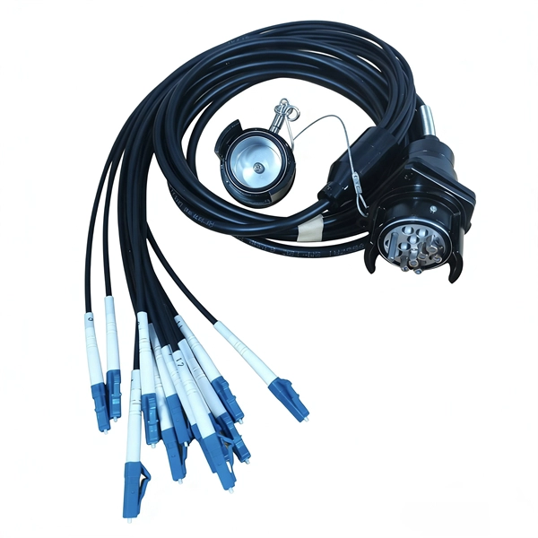 Optical distribution box that can be connected to electricity