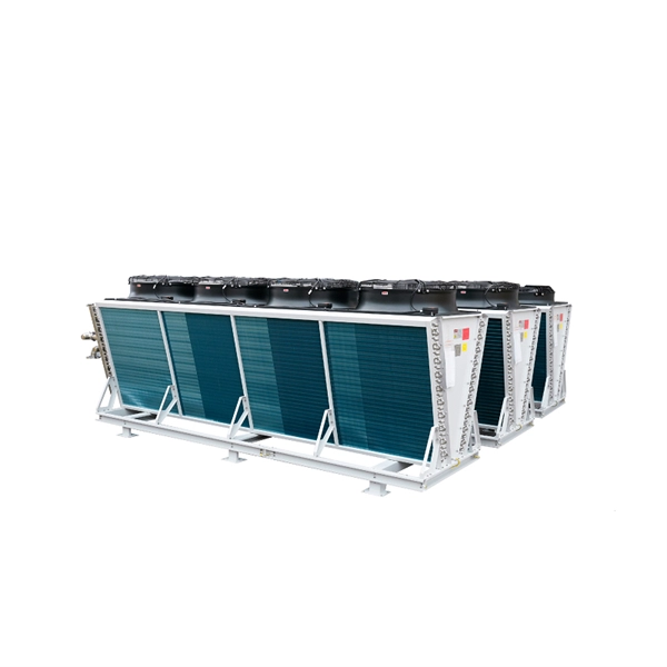 Customized Industrial-Grade Optical Modules for Tonga