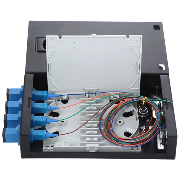 Egypt Access Switch 800G
