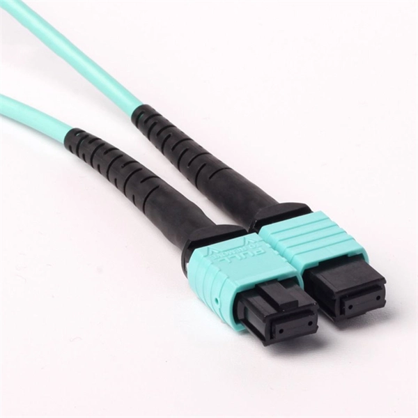 What type of network does fiber optic cable belong to 