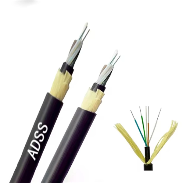 No fiber optic cable runs directly through the router
