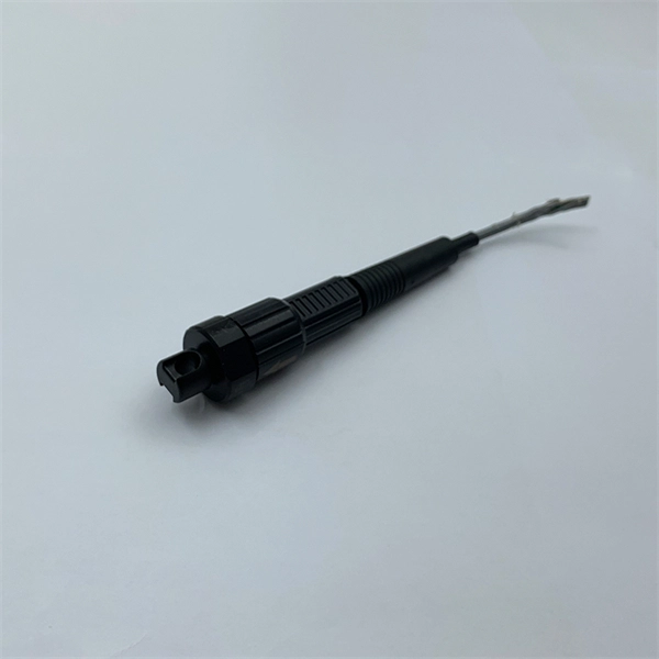 1G standalone switch in ASEAN ten countries