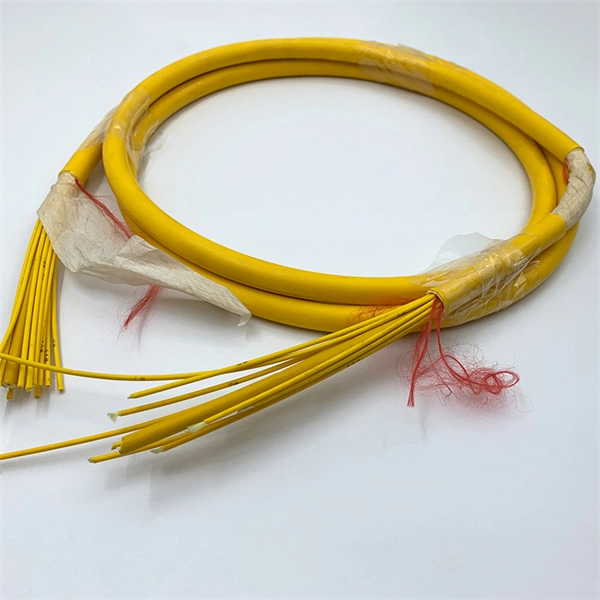 New Zealand Intelligent Optical Switch