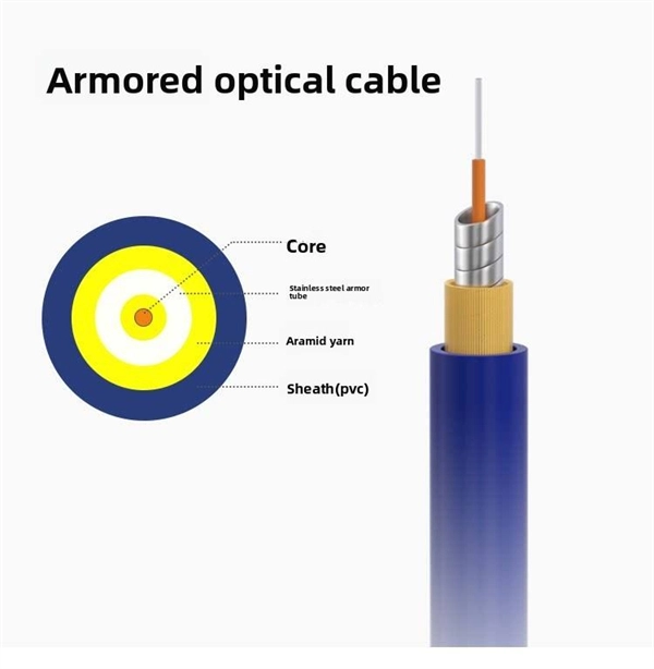 Optical Switches and Program-Controlled Switches